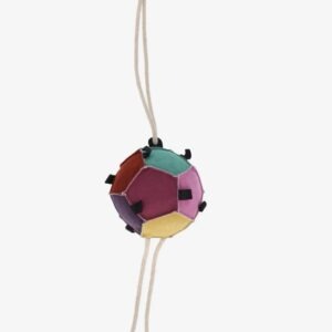 QHP Hanging Carrot Ball Toy - Blue/Multi