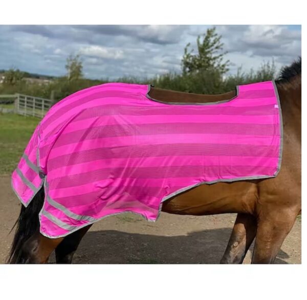 Firefoot Reflective Exercise Sheet Pink