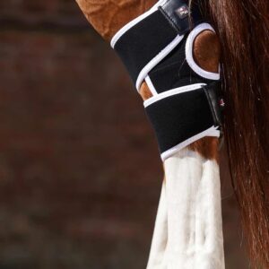 Premier Equine Magni-Teque Magnetic Hock Boots