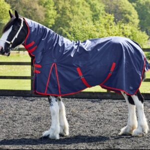 FireFoot 100g Fixed Neck Turnout Rug