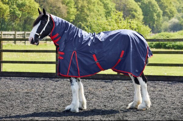 FireFoot 100g Fixed Neck Turnout Rug