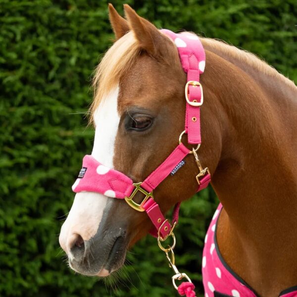 Supreme Products Dotty Fleece Head Collar & Lead Rope Paradise Pink