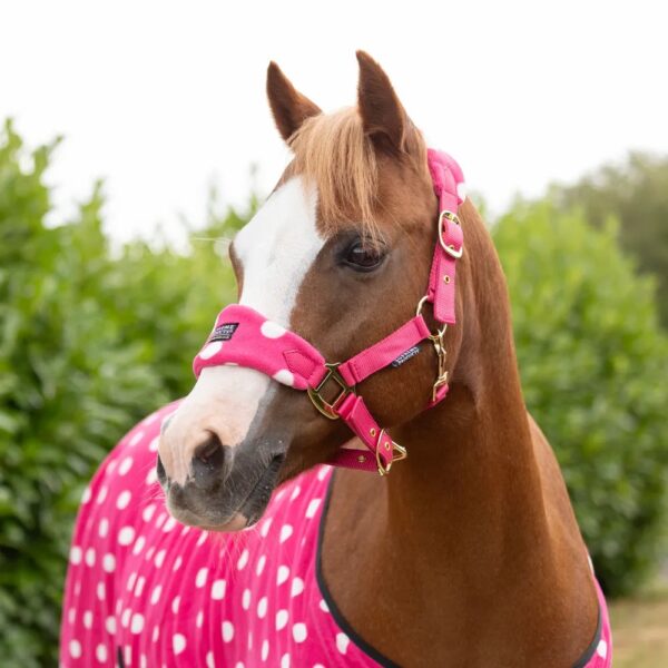 Supreme Products Dotty Fleece Head Collar & Lead Rope Paradise Pink - Image 2