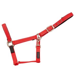 Cameo Field Safe Reflective Headcollar Red