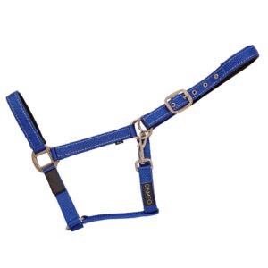 Cameo Field Safe Reflective Headcollar Royal Blue