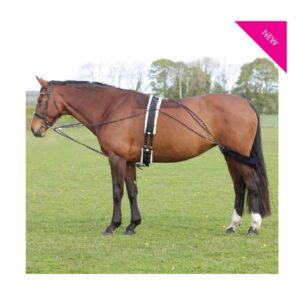 Hy Equestrian Lunging System