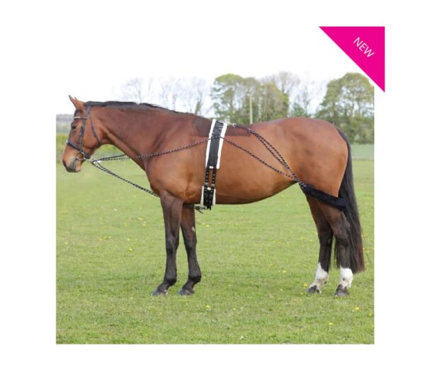 Hy Equestrian Lunging System