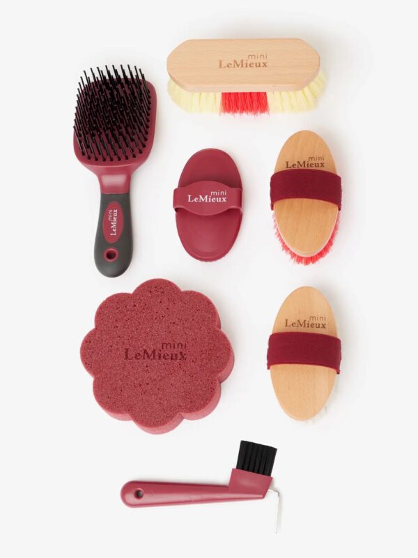Lemieux Mini Grooming Kit Red - Image 3