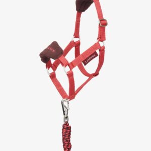 Lemieux Hobby Horse Vogue Headcollar & Leadrope Cranberry