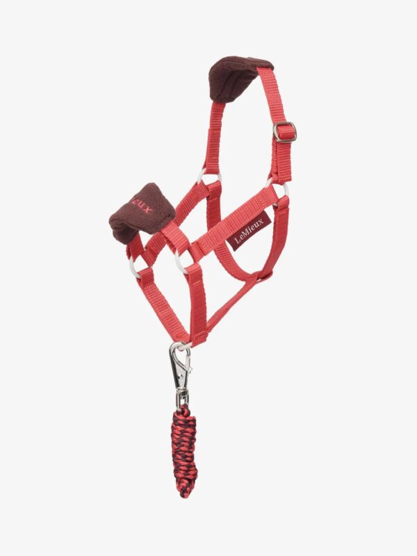 Lemieux Hobby Horse Vogue Headcollar & Leadrope Cranberry