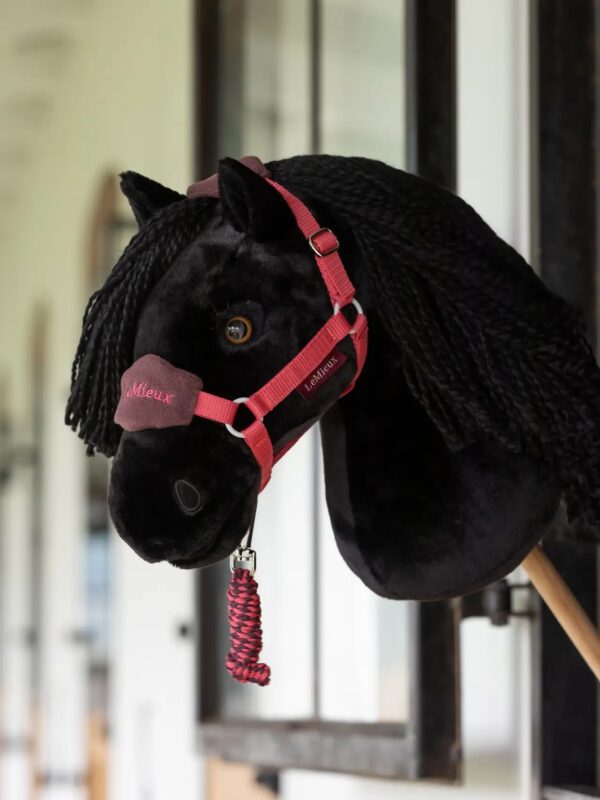 Lemieux Hobby Horse Vogue Headcollar & Leadrope Cranberry - Image 2