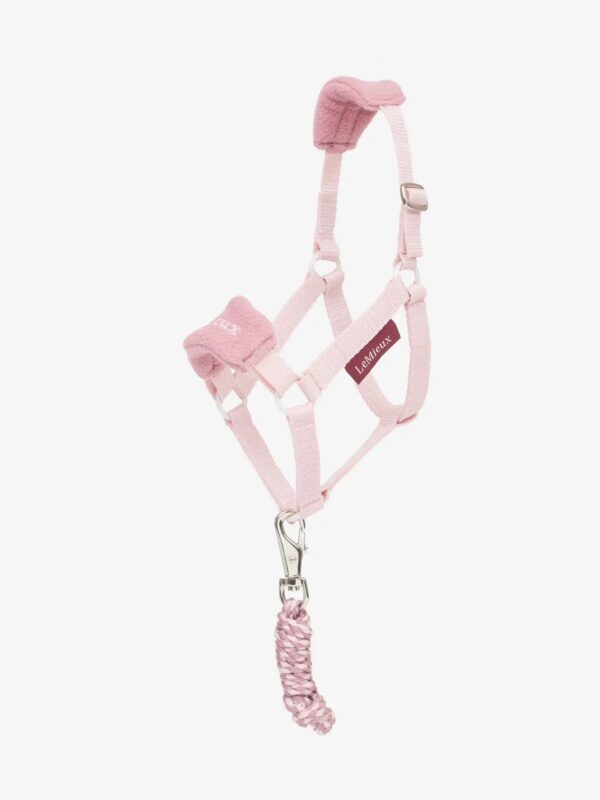 Lemieux Hobby Horse Vogue Headcollar & Leadrope Blossom