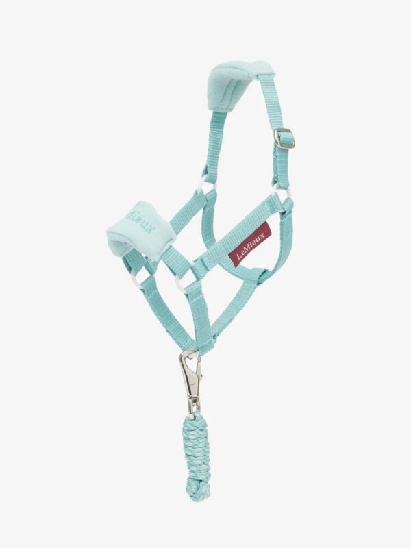 Lemieux Hobby Horse Vogue Headcollar & Leadrope Lagoon