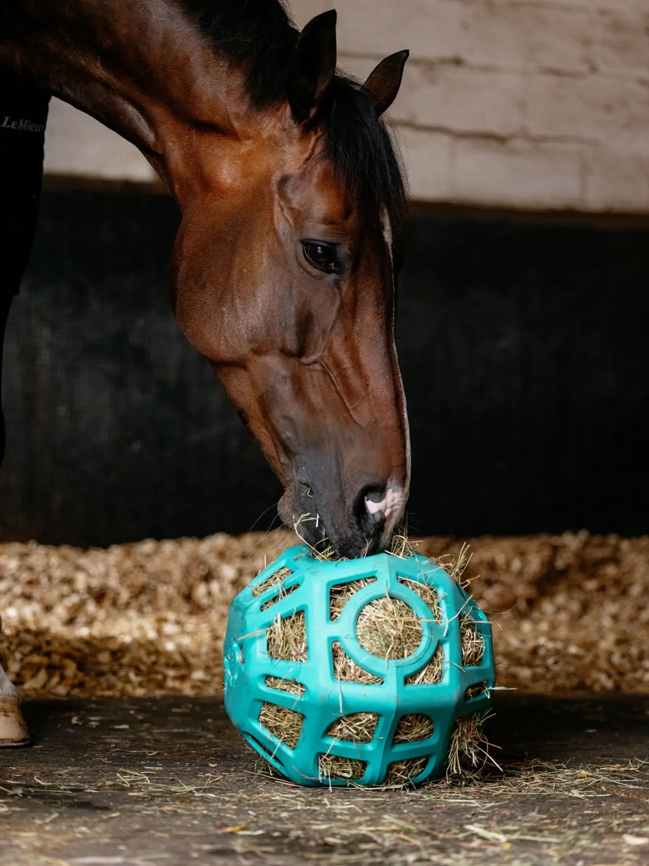 Lemieux Hay Ball Lagoon - Image 2