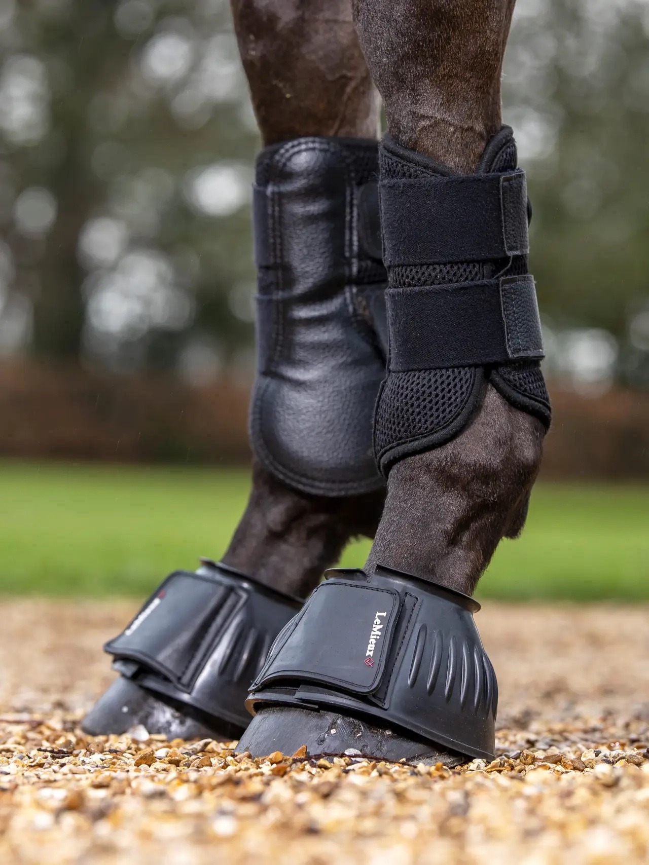 Lemieux Rubber Bell Boots Black - Image 2