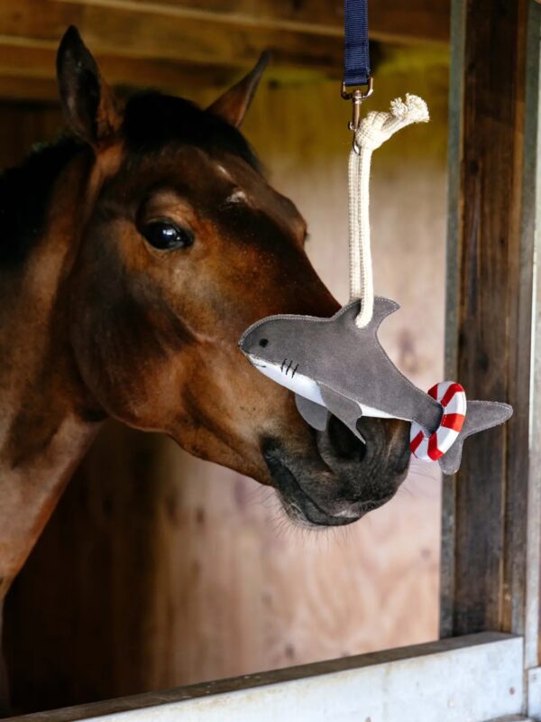 Lemieux Horse Toy Shark - Image 2