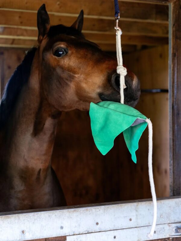 Lemieux Horse Toy Stingray - Image 2