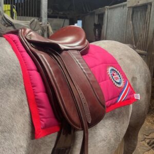 Show Pony Prep Team Luxury Saddle Pad