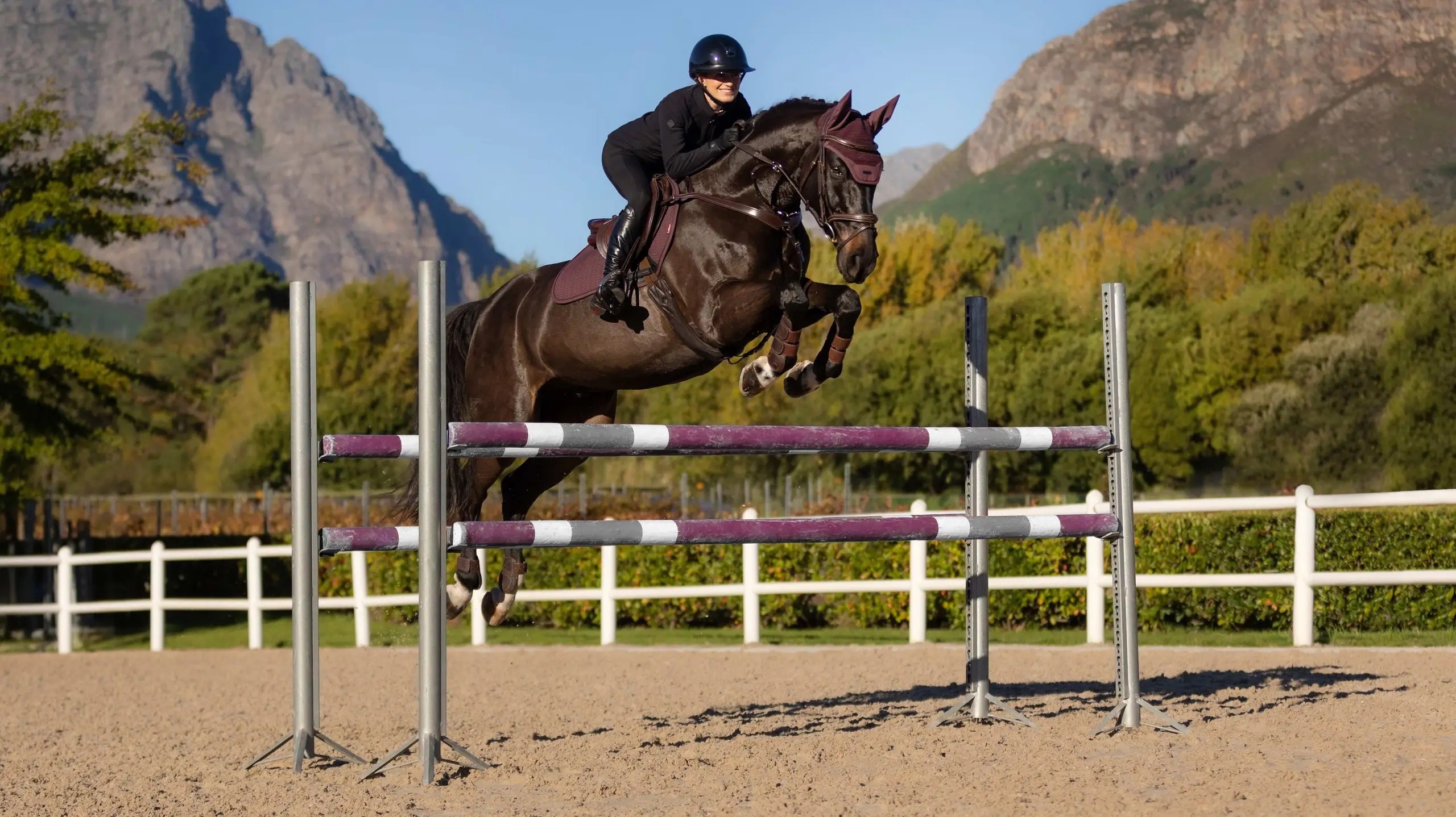 LeMieux Essence Eurojump Square Damson - Image 3