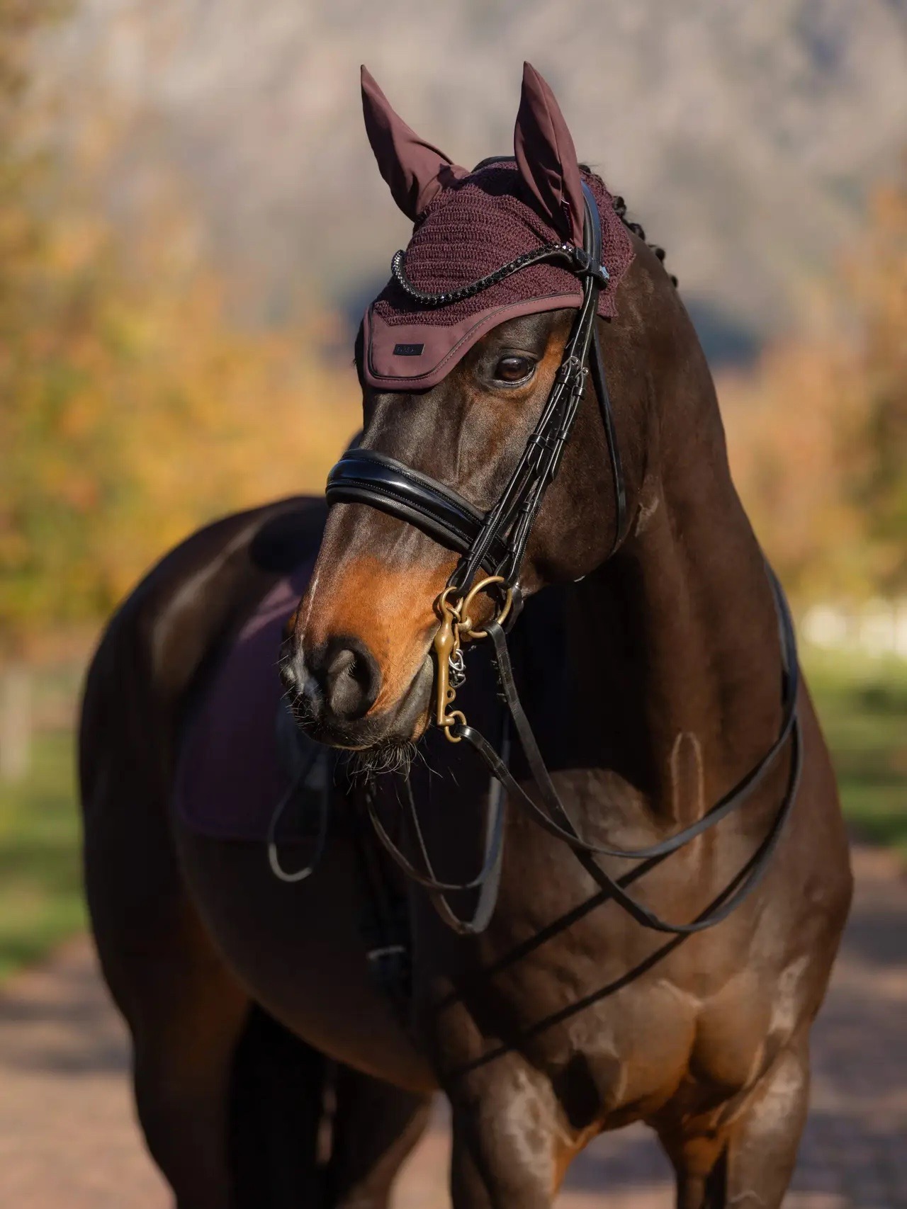 LeMieux Essence Fly Hood Damson - Image 2