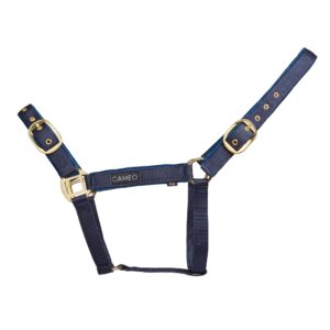 Cameo Suede Padded Headcollar Navy