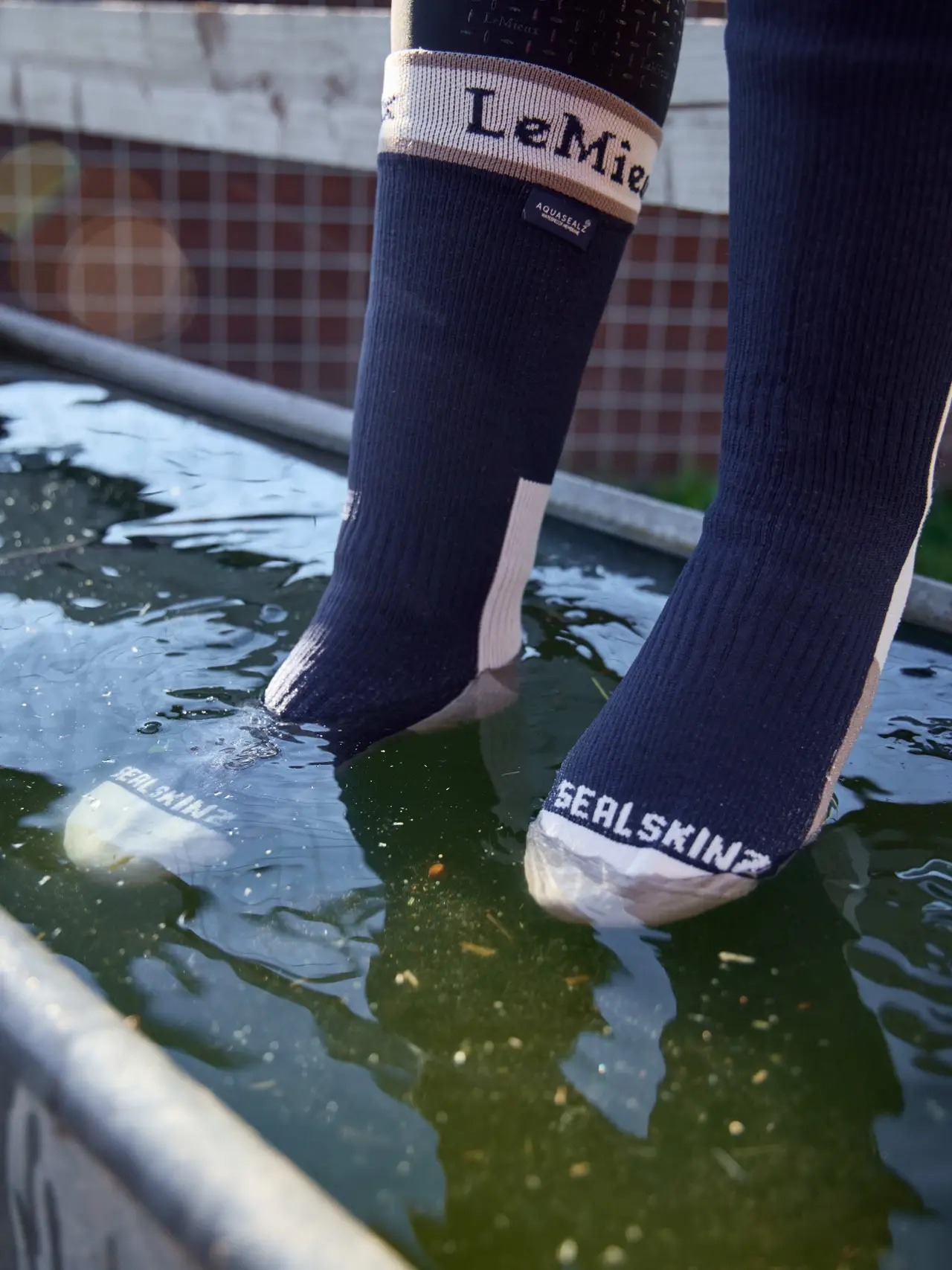 LeMieux x Sealskinz Waterproof Socks Navy