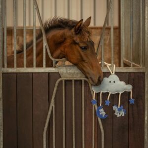 QHP Horse Toy Novy - Blue