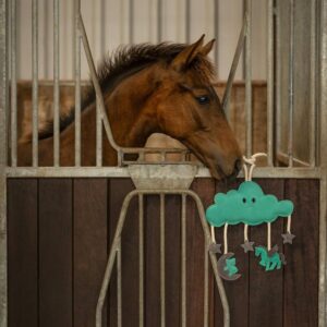 QHP Horse Toy Novy - Green