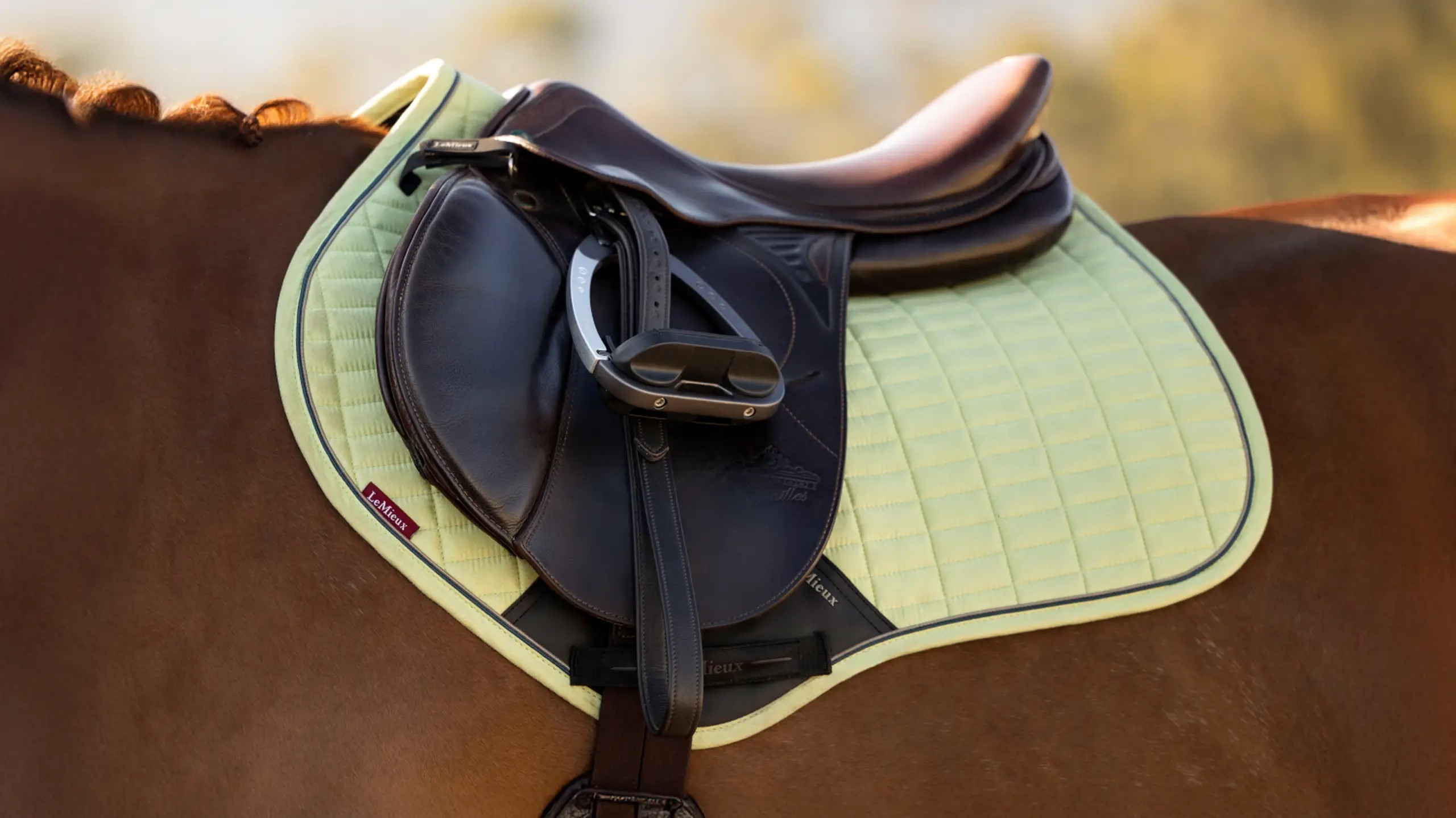 LeMieux Suede Close Contact Square Macaron - Image 3