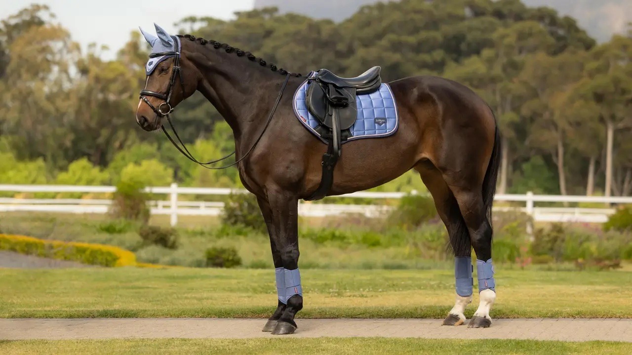 LeMieux Loire Classic Close Contact Square Powder Blue - Image 2