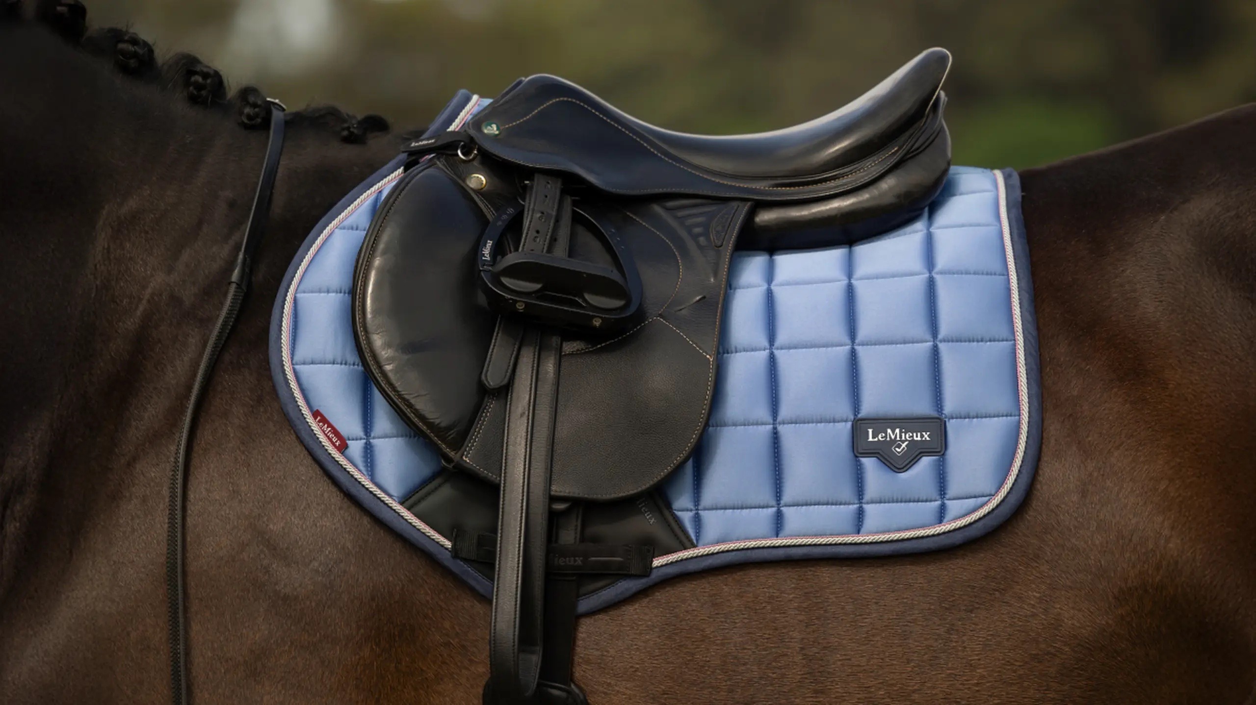 LeMieux Loire Classic Close Contact Square Powder Blue - Image 3