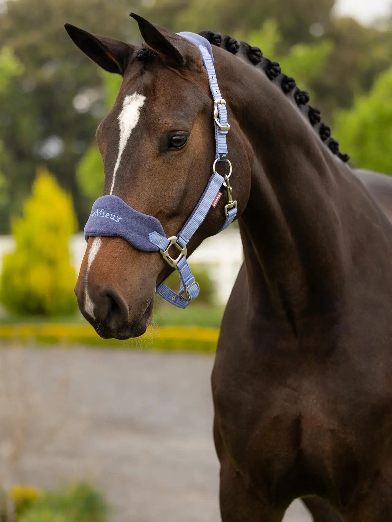 LeMieux Vogue Headcollar & Leadrope Powder Blue - Image 2