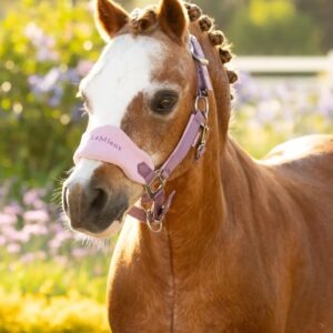 LeMieux Mini Vogue Headcollar & Leadrope Mallow