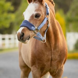 LeMieux Mini Vogue Headcollar & Leadrope Powder Blue