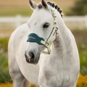 LeMieux Mini Vogue Headcollar & Leadrope Macaron