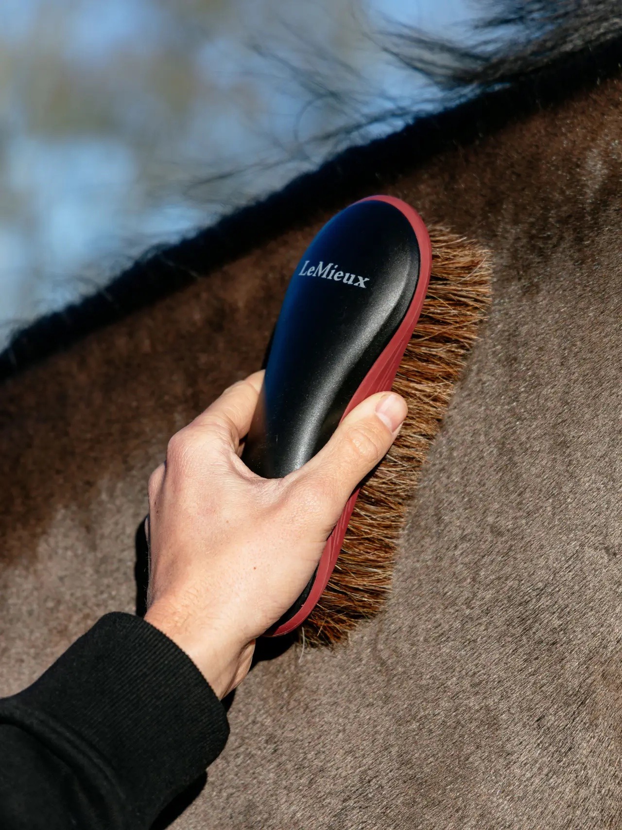 LeMieux Body Brush Black - Image 2