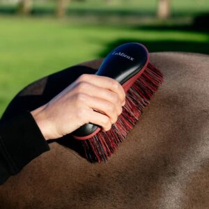 LeMieux Flicky Brush Black