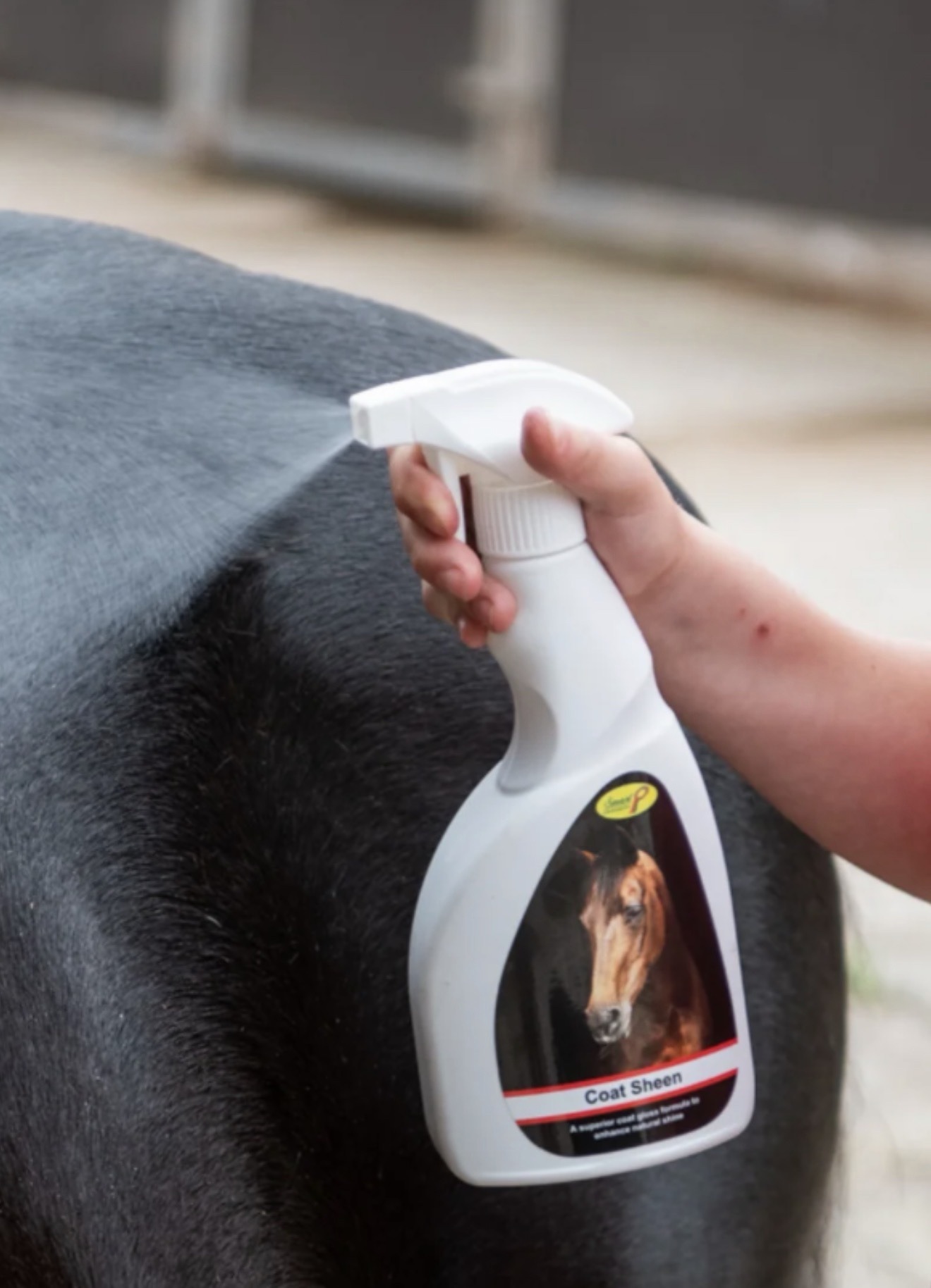 Smart Grooming Coat Sheen