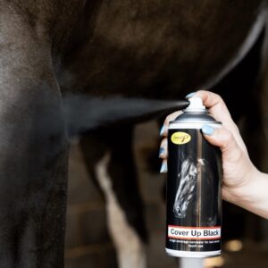 Smart Grooming Cover up spray - black