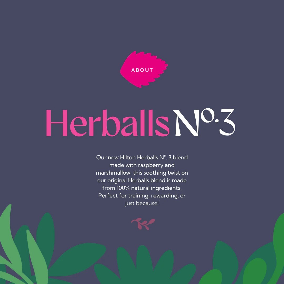 Hilton Herbs Herballs N°. 3 Raspberry & Marshmallow 2kg - Image 2