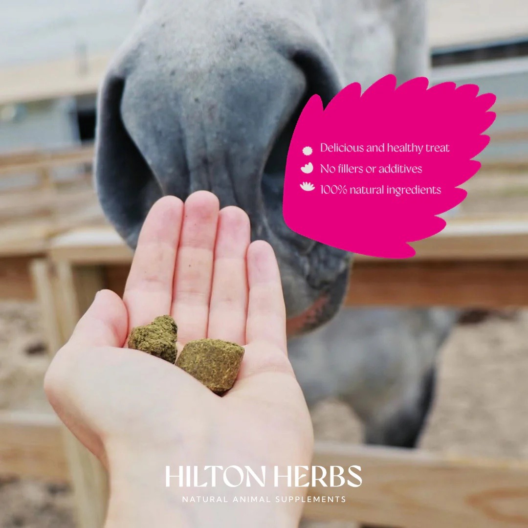 Hilton Herbs Herballs N°. 4 Bilberry & Thyme 2kg - Image 3