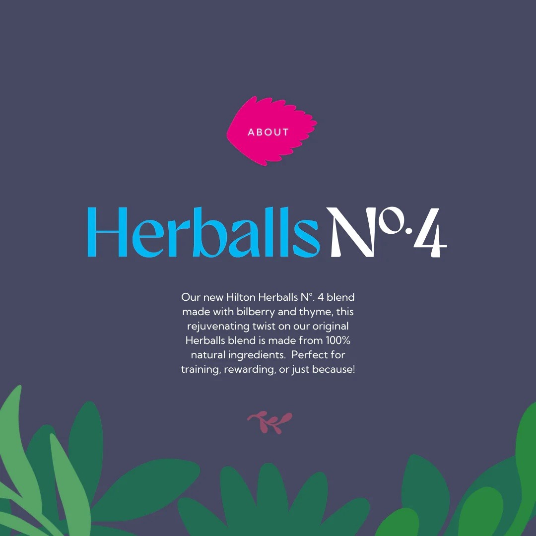 Hilton Herbs Herballs N°. 4 Bilberry & Thyme 2kg - Image 2