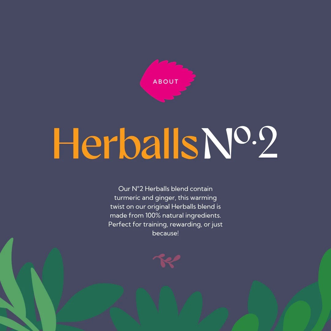 Hilton Herbs Herballs N°. 2 Turmeric & Ginger 2kg - Image 2