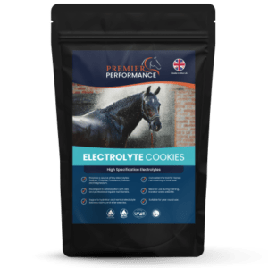 Premier Performance Electrolyte Cookies