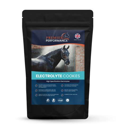 Premier Performance Electrolyte Cookies