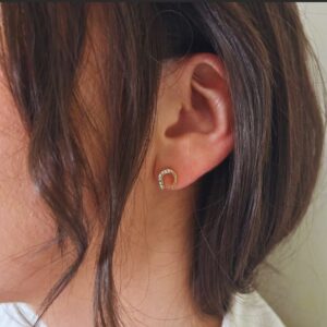 Equestrian Earrings