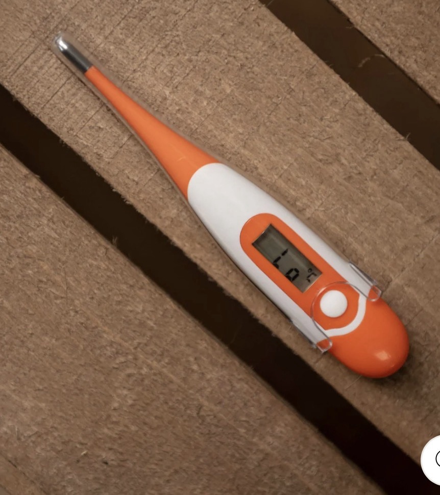 Smart Grooming Digital Thermometer