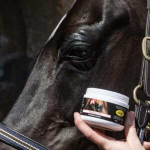 Smart Grooming Enhancing Gloss