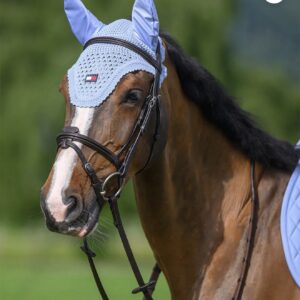 Tommy Hilfiger Fly Hood - SWEET BLUE Cob
