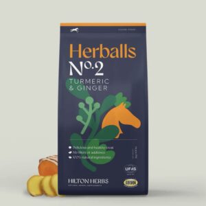 Hilton Herbs - Herballs - Turmeric & Ginger 2kg